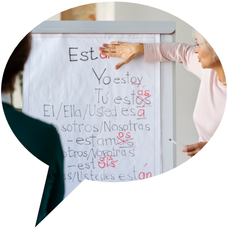 Actualización y excelencia